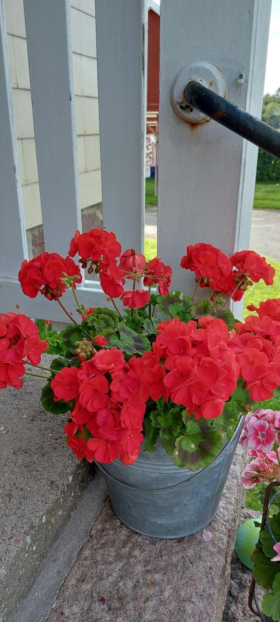 Pilane B&B Langekarr Экстерьер фото